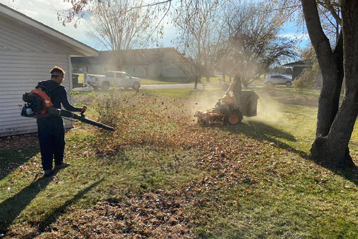 Professional fall cleanup with leaf blowing equipment in action