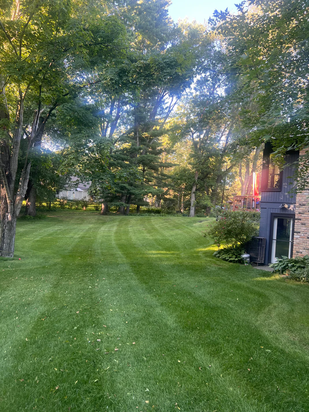 Professional lawn care showing perfectly striped grass