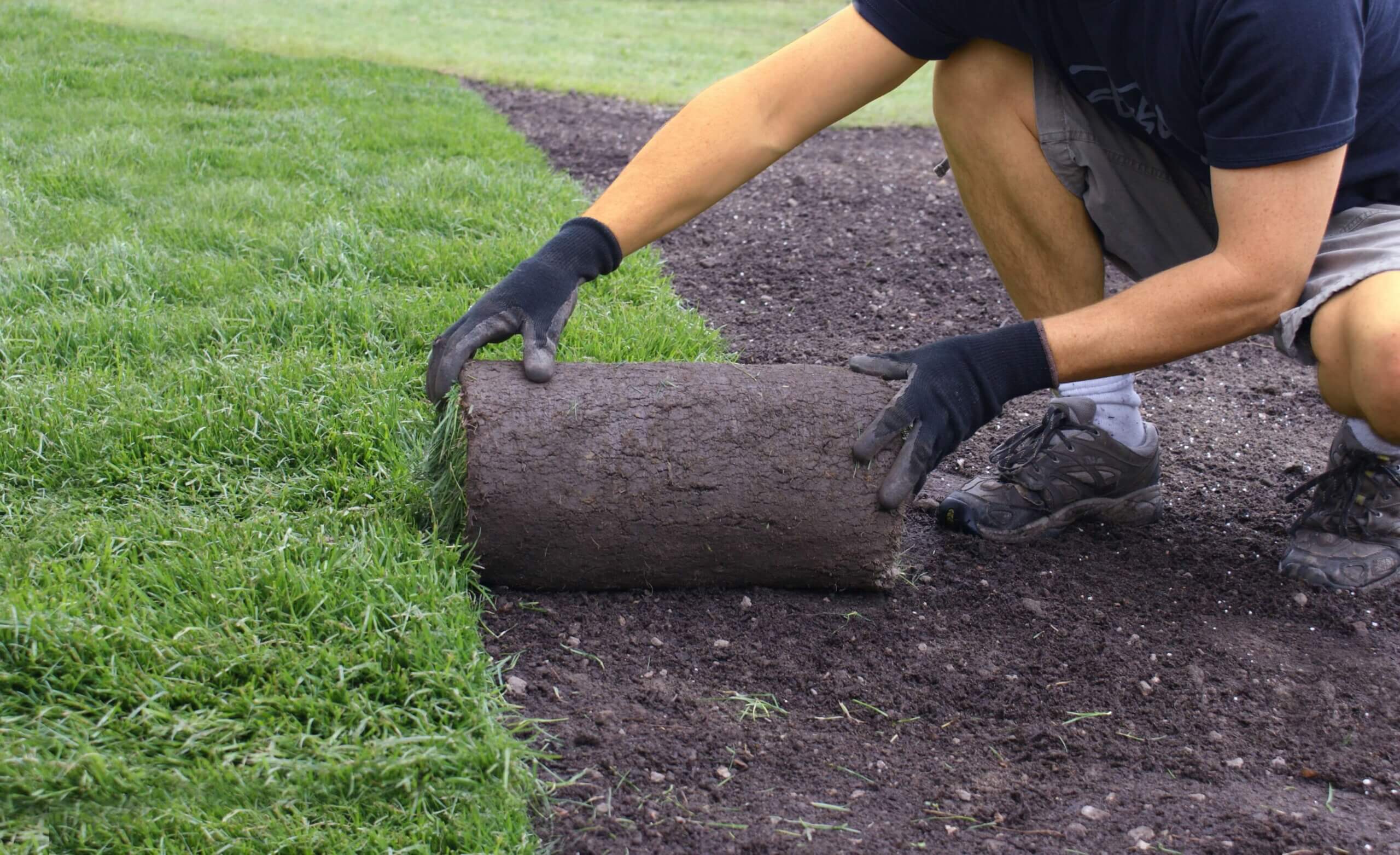 Professional sod installation showing hands placing fresh turf