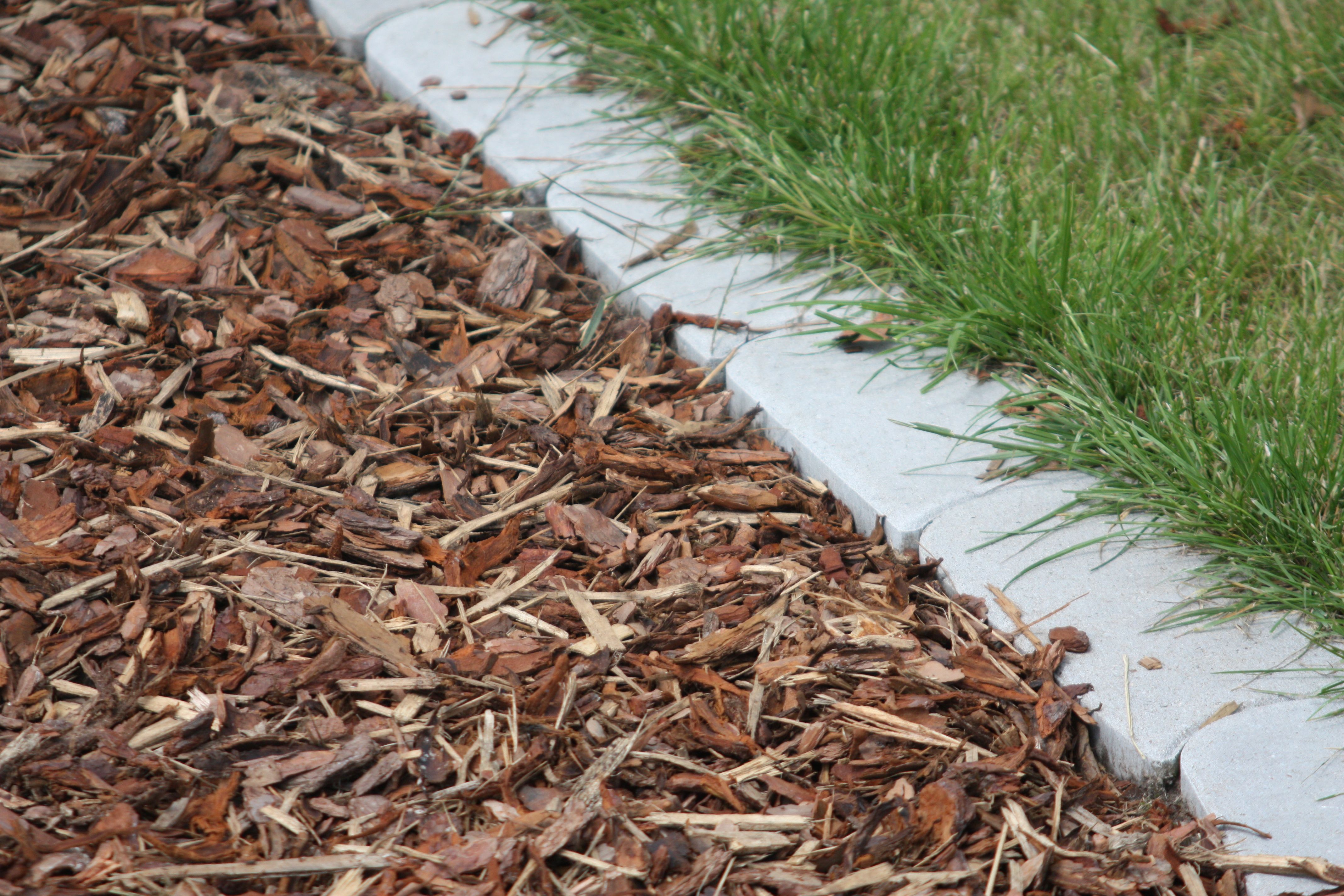 Professional mulch application with clean edging